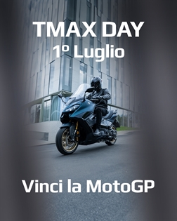 TMXDD