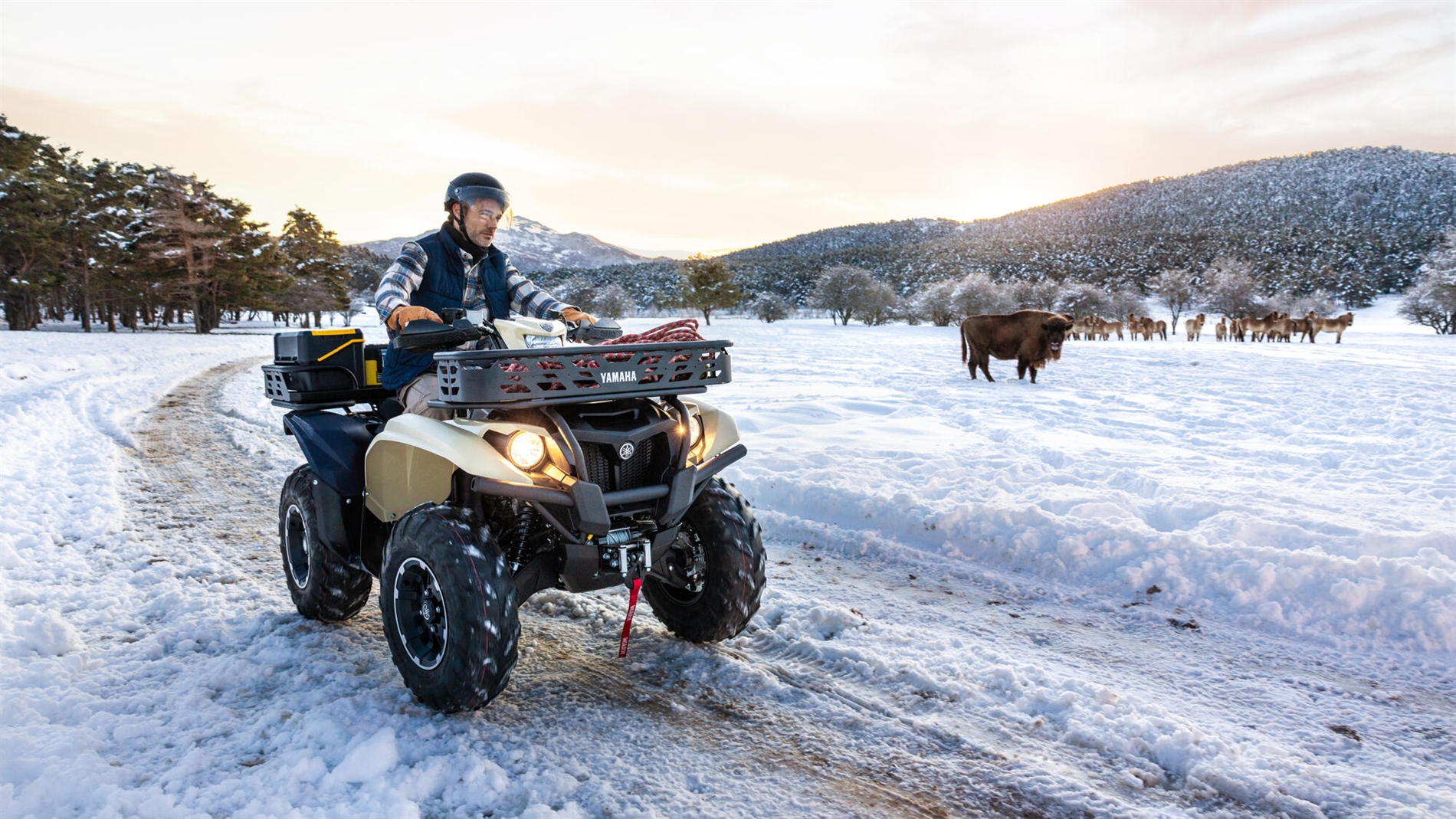 2026-Yamaha-YFM700FWBD-S-EU-Desert_Tan_Midnight_Blue-Action-001-03